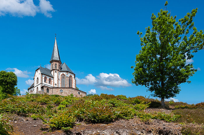 Foto: AdobeStock Jürgen Wackenhut
